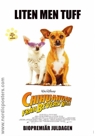 Chihuahuan från Beverly Hills 2009 poster Hundar