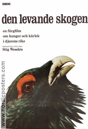 Den levande skogen 1966 poster Stig Wesslén Fåglar Dokumentärer