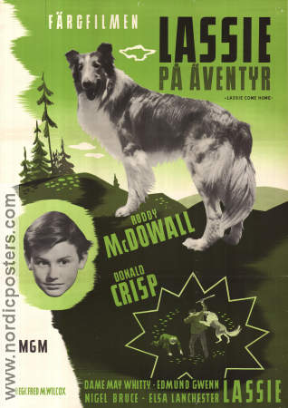 Lassie på äventyr 1943 poster Roddy McDowall Donald Crisp Lassie Fred M Wilcox Hundar
