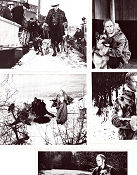 The Call of the Wild 1972 lobbykort Charlton Heston Michele Mercier Raimund Harmstorf Ken Annakin Text: Jack London