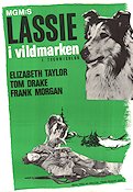 Lassie i vildmarken (1946) Poster 70x100cm Elizabeth Taylor/Lassie