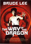 The Way of the Dragon 1972 poster Chuck Norris Nora Miao Bruce Lee Kampsport