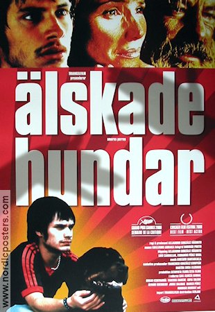 �lskade hundar (2000) Poster 70x100cm Alejandro Gonzalez Inarritu