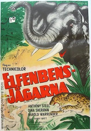 Elfenbensj�garna (1952) Poster 70x100cm Anthony Steel