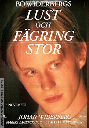 Lust och f�gring stor (1995) Poster 70x100cm advance Johan Widerberg