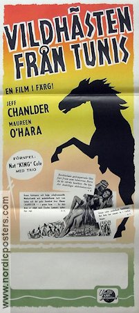Vildh�sten fr�n Tunis (1952) Poster 30x70cm Jeff Chandler/Maureen O'Hara