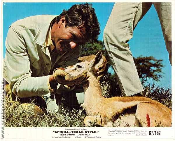 Africa: Texas Style 1967 lobbykort Hugh O´Brian John Mills Nigel Green Andrew Marton Hitta mer: Africa