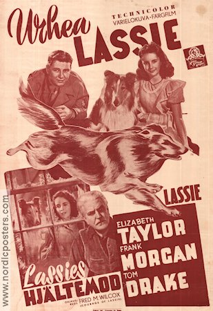 Courage of Lassie 1947 poster Elizabeth Taylor Affischen från: Finland
