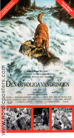 Den otroliga vandringen 1993 poster Robert Hays Duwayne Dunham Hundar