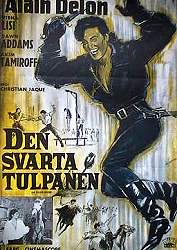 Den svarta tulpanen 1964 poster Alain Delon