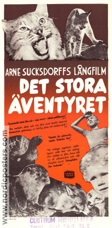 Det stora äventyret 1953 poster Anders Nohrborg Kjell Sucksdorff Arne Sucksdorff Dokumentärer Katter