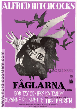 Fåglarna 1963 poster Rod Taylor Tippi Hedren Jessica Tandy Alfred Hitchcock Fåglar