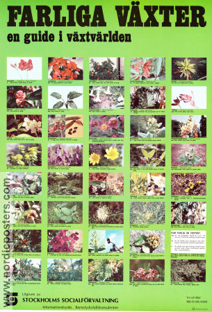 Farliga växter 1976 affisch Stockholms socialförvaltning Affischkonstnär: Millan Wigander Blommor och växter