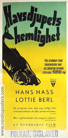 Havsdjupets hemlighet 1954 poster Hans Hass Fiskar och hajar Dokumentärer