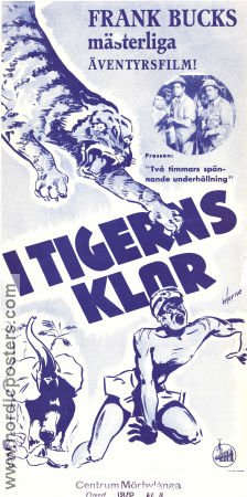 I tigerns klor 1943 poster Frank Buck June Duprez Duncan Renaldo Sam Newfield Katter