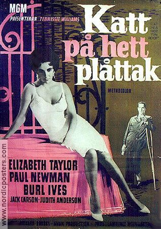 Katt på hett plåttak 1958 poster Elizabeth Taylor Paul Newman Burl Ives Richard Brooks Damer