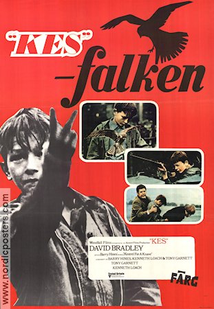 Kes falken 1969 poster David Bradley Brian Glover Freddie Fletcher Ken Loach Fåglar Barn