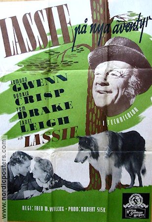 Lassie på nya äventyr 1949 poster Edmund Gwenn Janet Leigh Lassie Hundar