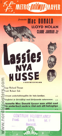 Lassies nya husse 1949 poster Jeanette MacDonald Lloyd Nolan Claude Jarman Jr Lassie Richard Thorpe Hundar Musikaler