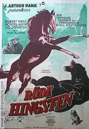 Röde hingsten 1947 poster Robert Paige Hästar