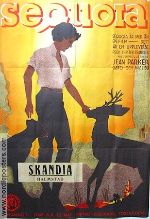 Sequoia 1935 poster Jean Parker Chester Franklin Dokumentärer