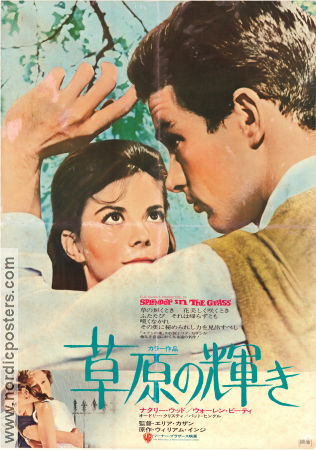Splendor in the Grass 1961 poster Natalie Wood Warren Beatty Pat Hingle Elia Kazan