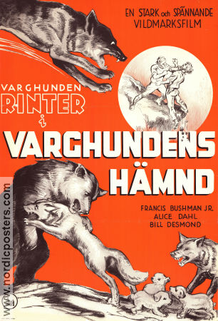 Varghundens hämnd 1934 poster Lightning Francis X Bushman Alice Dahl Burton L King Hundar