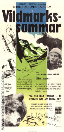 Vildmarkssommar 1957 poster Ulf Strömberg Olof Thunberg Bertil Haglund Dokumentärer Berg