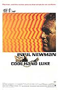 Cool Hand Luke 1967 poster Paul Newman