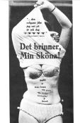 Det brinner min sköna! 1967 poster Jan Vostrcil Josef Sebanek Josef Valnoha Milos Forman Filmen från: Czechoslovakia Brand Konstaffischer