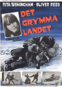 Det grymma landet 1967 poster Rita Tushingham Olver Reed Sidney Hayers