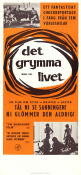 Det grymma livet 1962 poster Stefano Sibaldi Rossano Brazzi Yves Klein Gualtiero Jacopetti Dokumentärer