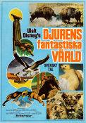 Djurens fantastiska värld 1975 poster Winston Hibler James Algar