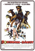 Doberman-gänget 1972 poster Julie Parrish Byron Mabe Hal Reed Byron Chudnow Hundar