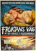 En iskall i Alexandria 1959 poster John Mills Sylvia Syms