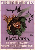 Fåglarna 1963 poster Rod Taylor Tippi Hedren Jessica Tandy Alfred Hitchcock Fåglar
