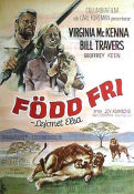 Född fri lejonet Elsa 1964 poster Virginia McKenna Bill Travers James Hill Text: Joy Adamson Katter