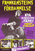 Frankensteins förbannelse 1957 poster Peter Cushing Terence Fisher