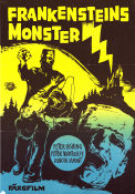 Frankensteins monster 1964 poster Peter Cushing Freddie Francis
