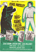 Håll-igång i Vilda Västern 1965 poster Elvis Presley Julie Adams Jocelyn Lane Norman Taurog Musikaler