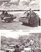Hatari 1962 filmfotos John Wayne Elsa Martinelli Hardy Krüger Howard Hawks