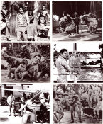 Hawaiian Paradise 1966 filmfotos Elvis Presley Suzanna Leigh James Shigeta Michael D Moore Musikaler
