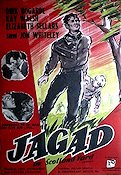 Jagad av Scotland Yard 1952 poster Dirk Bogarde Jon Whiteley Elizabeth Sellars Charles Crichton Poliser Film Noir