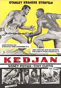 Kedjan 1958 poster Tony Curtis Stanley Kramer
