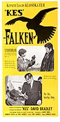 Kes falken 1969 poster David Bradley Brian Glover Freddie Fletcher Ken Loach Fåglar Barn