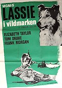 Lassie i vildmarken 1946 poster Elizabeth Taylor Lassie Fred M Wilcox Hundar