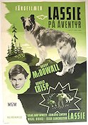 Lassie på äventyr 1943 poster Roddy McDowall Elizabeth Taylor Donald Crisp May Whitty Fred M Wilcox Hundar