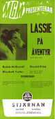 Lassie på äventyr 1943 poster Roddy McDowall Elizabeth Taylor Donald Crisp May Whitty Fred M Wilcox Hundar