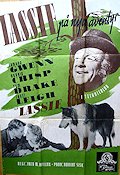 Lassie på nya äventyr 1949 poster Edmund Gwenn Janet Leigh Lassie Hundar