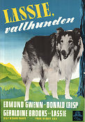 Lassie vallhunden 1949 poster Edmund Gwenn Donald Crisp Geraldine Brooks Lassie Richard Thorpe Hundar